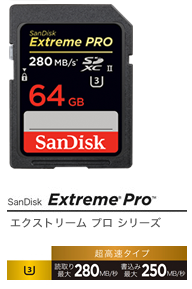 SanDisk